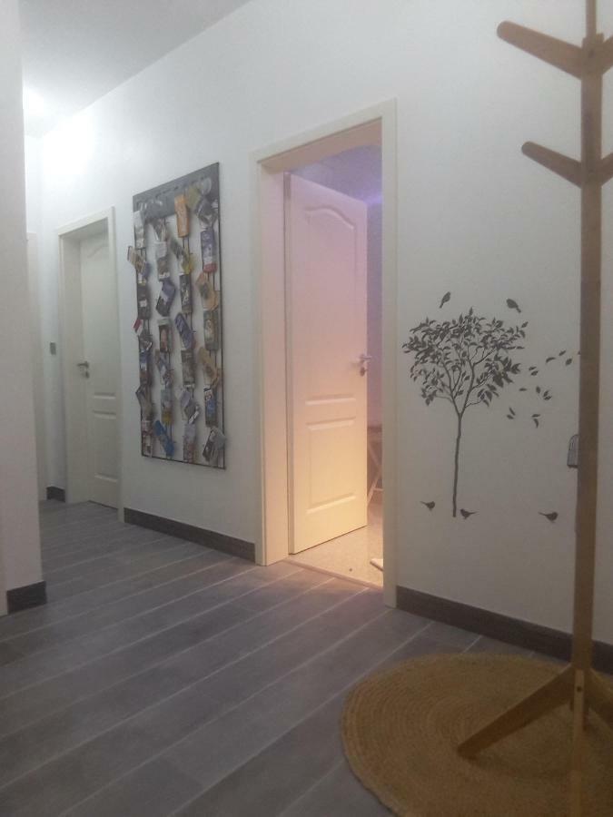 Apartamento Chez Moera -Sur La Route Des Vins - Kaysersberg Exterior foto